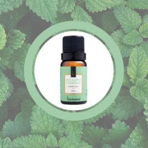 Essência Eucalipto e Hortelã para Aromatizador