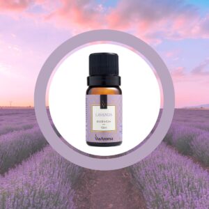 Essência Lavanda para Aromatizador